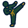 Taekwondo